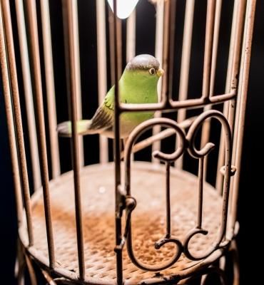 1er Etage Sopi Paris